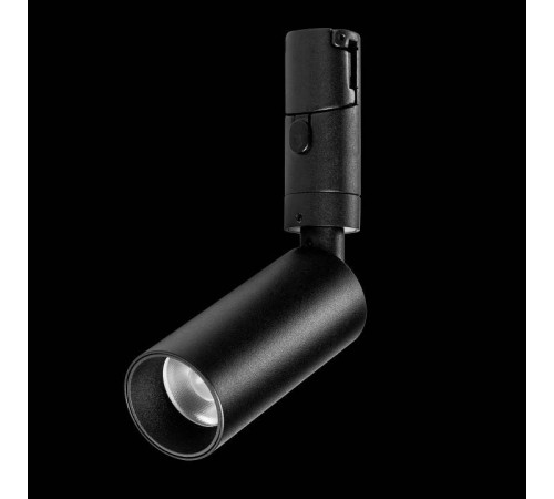 Светильник на штанге Lightstar DUE 207137