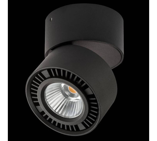 Накладной светильник Lightstar Forte Muro 214817