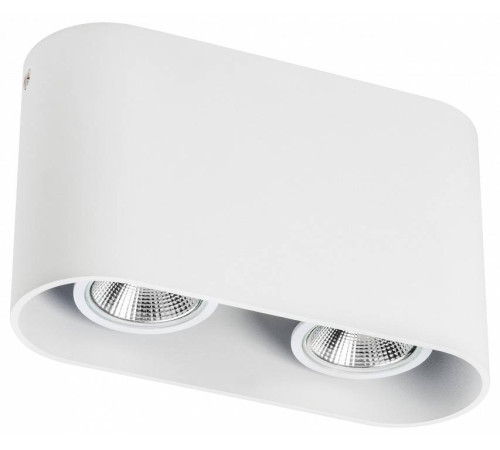 Накладной светильник Lightstar Rullo 214866