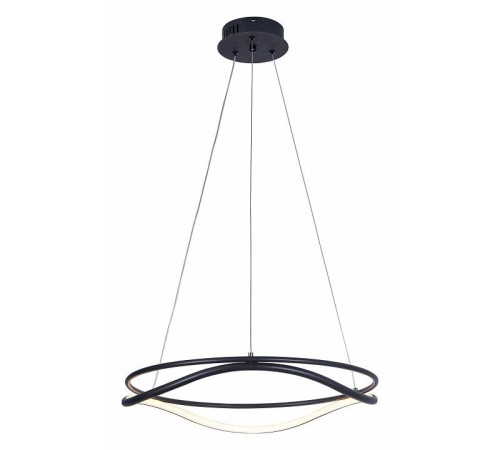 Подвесной светильник Lightstar Rotonda 736517