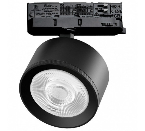 Светильник на штанге Lightstar Alta Pro A5547QT60G