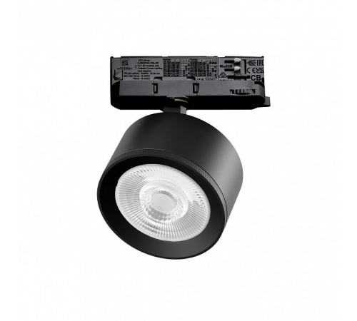 Светильник на штанге Lightstar Alta Pro A5547QT60G