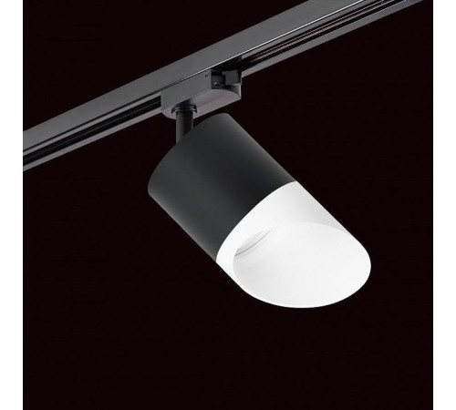 Светильник на штанге Lightstar Rullo R1T348786