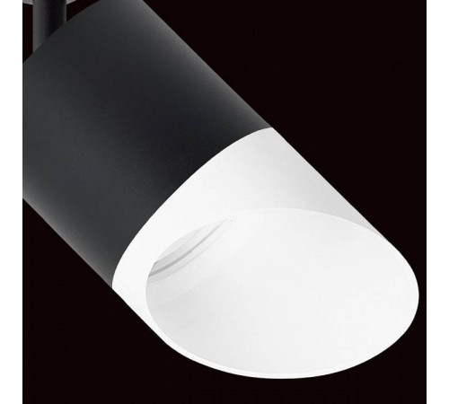 Светильник на штанге Lightstar Rullo R1T348786