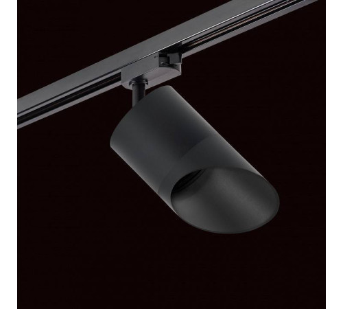 Светильник на штанге Lightstar Rullo R1T348787