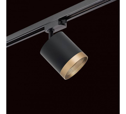 Светильник на штанге Lightstar Rullo R1T348790