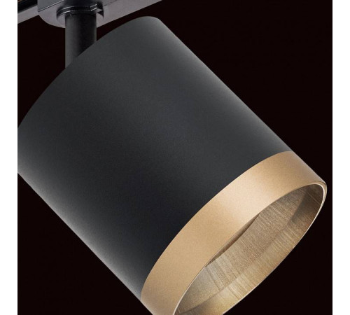 Светильник на штанге Lightstar Rullo R1T348790