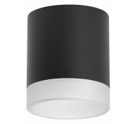 Накладной светильник Lightstar Rullo R348780