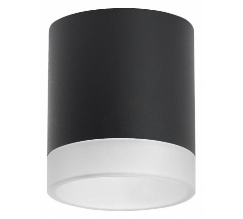 Накладной светильник Lightstar Rullo R348780