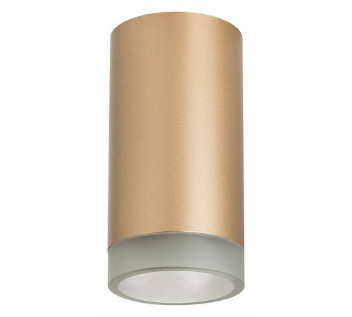 Накладной светильник Lightstar Rullo R44030