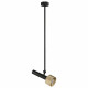 Светильник на штанге iLedex Technical Delta 2361-1 BK+BR