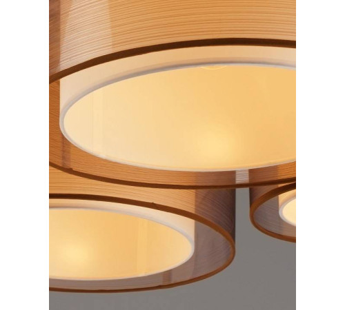 Потолочная люстра Moderli Room V10624-5C