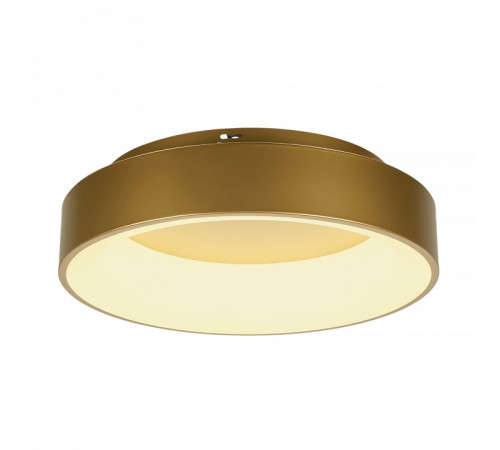 Накладной светильник MyFar Shannon MR2195-1PL