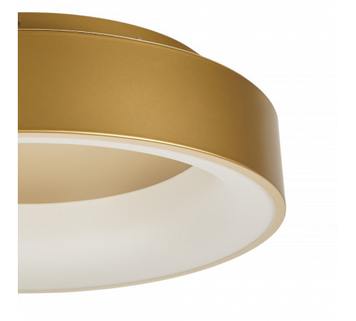 Накладной светильник MyFar Shannon MR2195-1PL