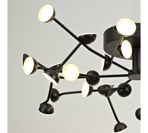 Накладной светильник Mantra Adn 6422