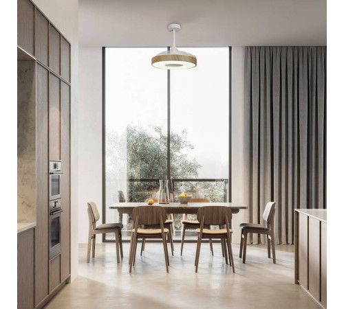 Светильник с вентилятором Mantra (люстры-вентиляторы) Coin 8216