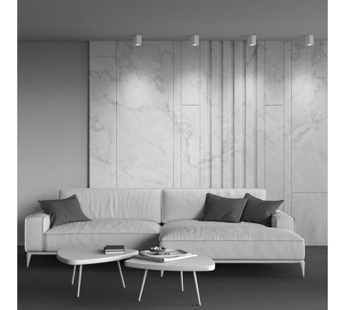 Накладной светильник Maytoni Focus C011CL-01W