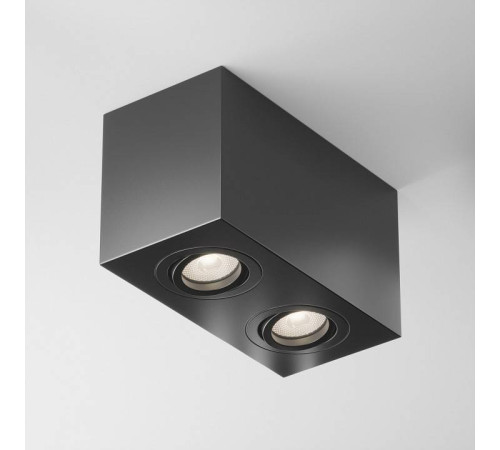 Накладной светильник Maytoni Atom C017CL-02B