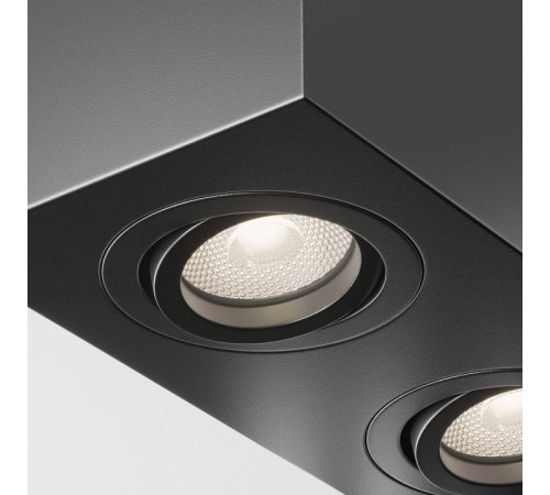 Накладной светильник Maytoni Atom C017CL-02B