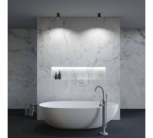 Накладной светильник Maytoni Zoom C029CL-01-S-B