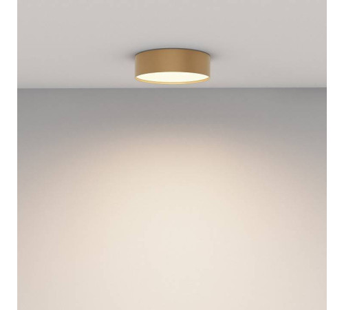 Накладной светильник Maytoni Zon C032CL-24W3K-RD-MG