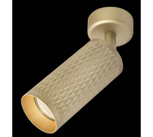 Спот Maytoni Focus Design C034CL-01G