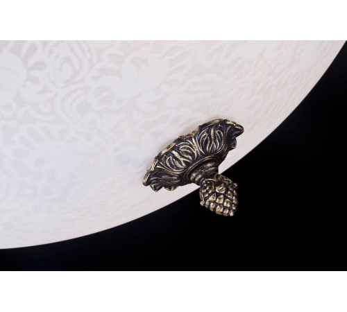 Накладной светильник Maytoni Pascal C908-CL-04-R