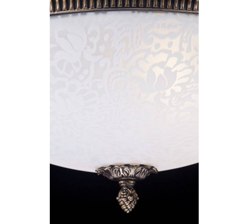 Накладной светильник Maytoni Pascal C908-CL-04-R