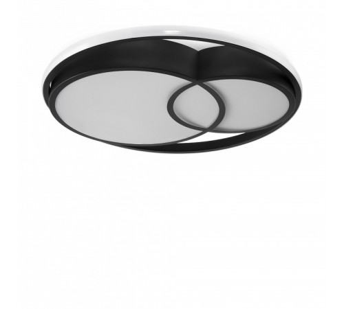 Накладной светильник Freya FR10029CL-L70B