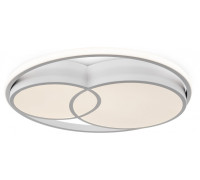 Накладной светильник Freya  FR10029CL-L70W