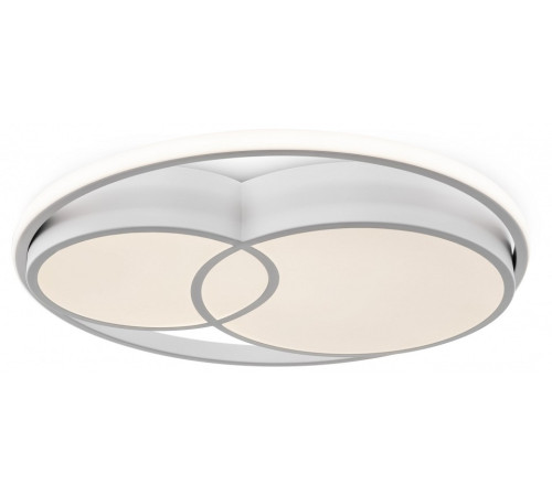 Накладной светильник Freya FR10029CL-L70W