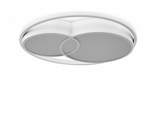 Накладной светильник Freya FR10029CL-L70W