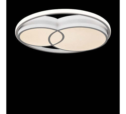 Накладной светильник Freya FR10029CL-L70W