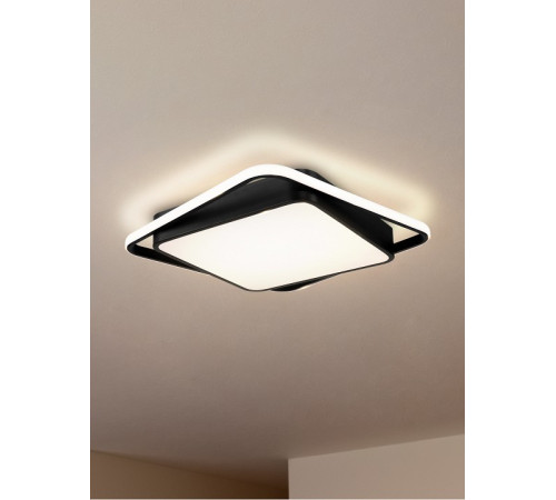 Накладной светильник Freya FR10030CL-L88B