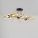 Люстра на штанге Freya Glow 6 ламп FR5129PL-06B