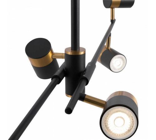 Люстра на штанге Freya Enzo FR5201PL-06B