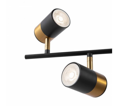 Люстра на штанге Freya Enzo FR5201PL-06B