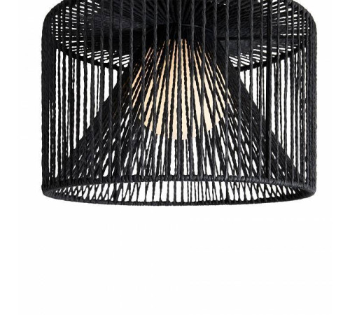 Накладной светильник Freya Cottage FR5405CL-01B1