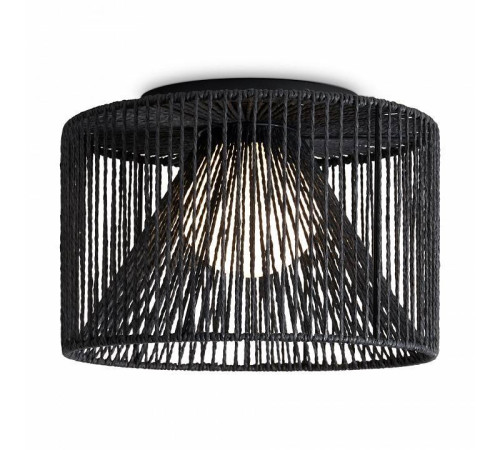 Накладной светильник Freya Cottage FR5405CL-01B1