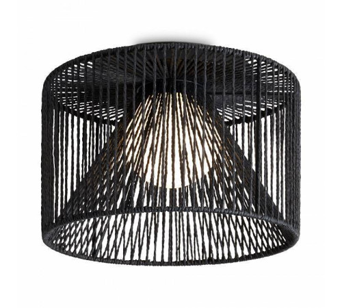 Накладной светильник Freya Cottage FR5405CL-01B1