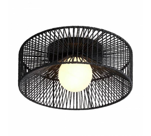 Накладной светильник Freya Cottage FR5405CL-01B