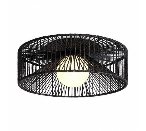 Накладной светильник Freya Cottage FR5405CL-01B