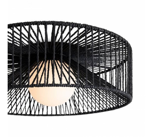 Накладной светильник Freya Cottage FR5405CL-01B