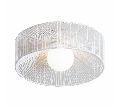 Накладной светильник Freya Cottage FR5405CL-01W