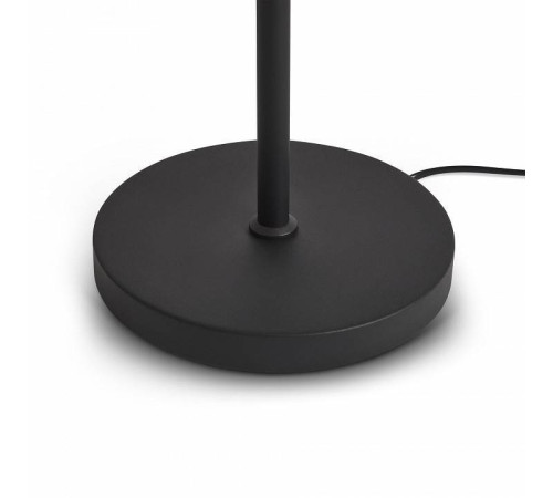 Торшер Freya Aqua FR5553FL-L20B