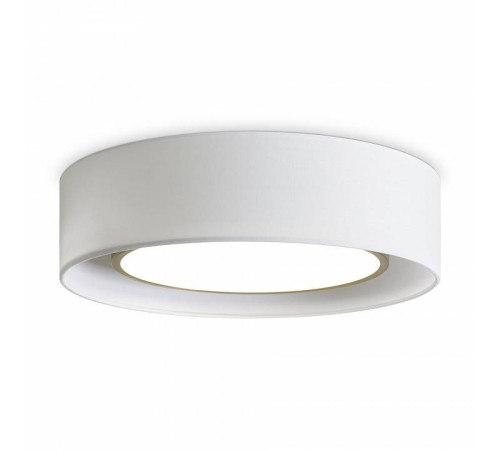 Накладной светильник Freya Cozy FR6170CL-L52BS