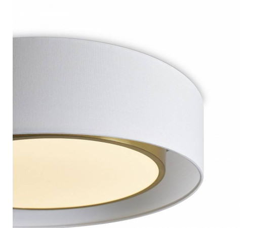 Накладной светильник Freya Cozy FR6170CL-L52BS