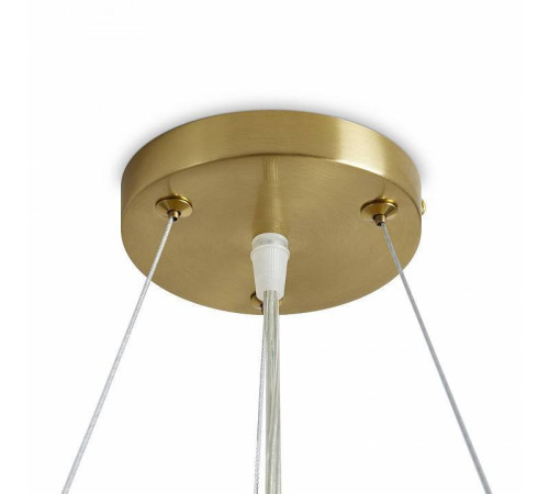 Подвесной светильник Freya Cozy FR6170PL-L52BS