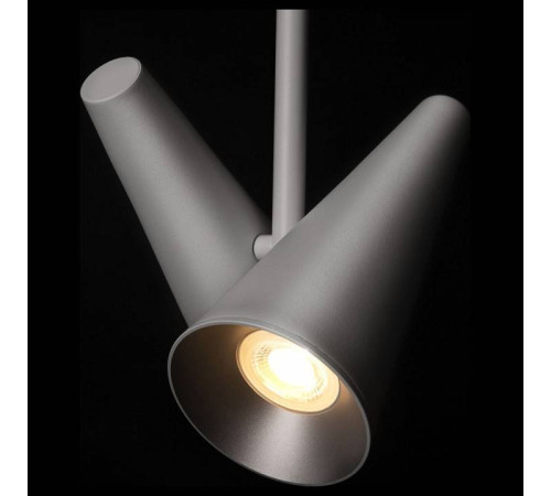 Светильник на штанге Maytoni Giro MOD095PL-02W