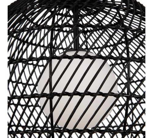 Подвесной светильник Maytoni CANE MOD204PL-01B